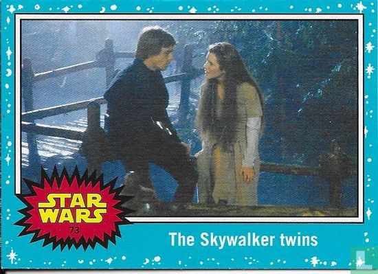 The Skywalker twins - Afbeelding 1