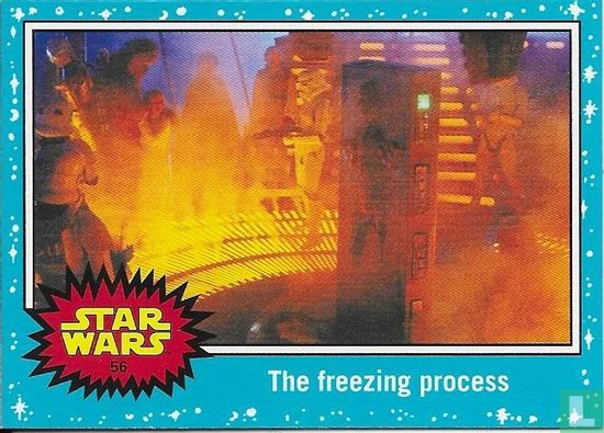 The freezing process  - Afbeelding 1