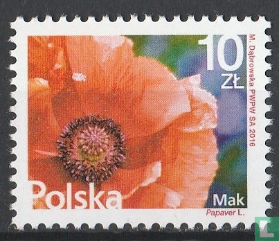 Mohn
