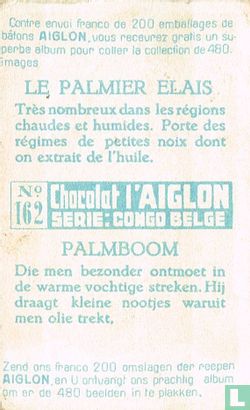 Palmboom - Afbeelding 2