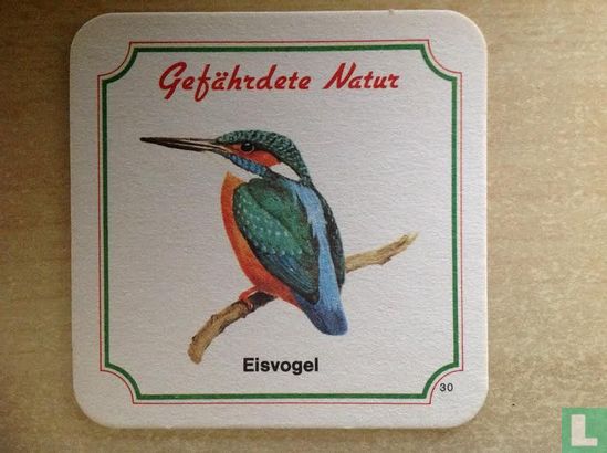 30 Eisvogel - Image 1