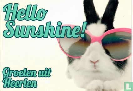 Hello Sunshine! Groeten uit Heerlen - Image 1