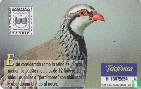 Perdiz roja [alectoris rufa] - Image 2