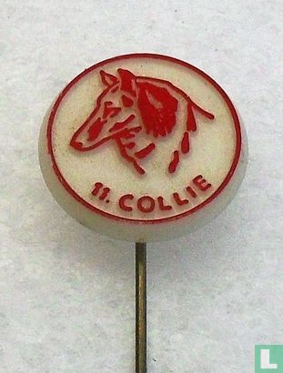 11. Collie [rood op wit]
