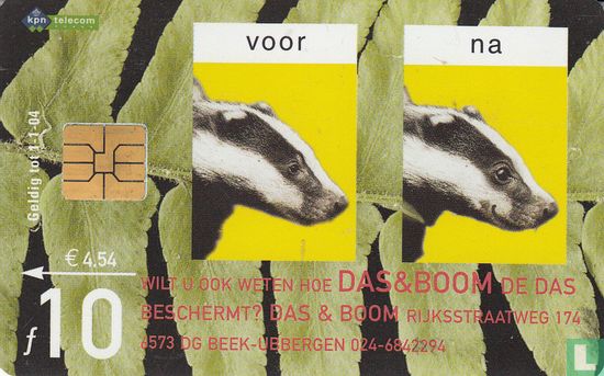Stichting Das & Boom / Stichting de Eekhoornopvang - Afbeelding 1