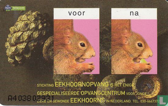 Stichting Das & Boom / Stichting de Eekhoornopvang - Afbeelding 2