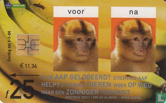 Stichting AAP - Image 1
