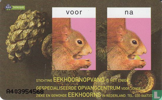 Stichting Das & Boom / Stichting de Eekhoornopvang - Bild 2