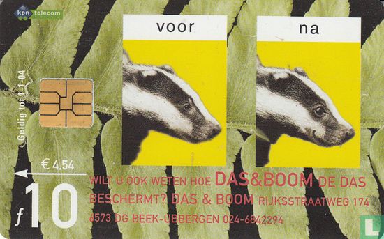 Stichting Das & Boom / Stichting de Eekhoornopvang - Image 1