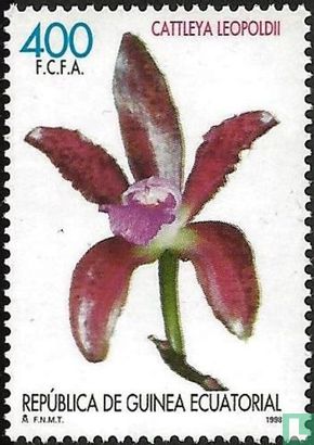 Orchideeën 