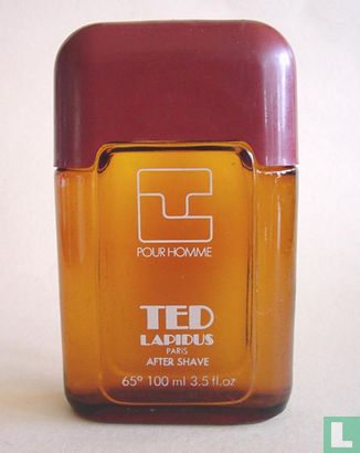 Ted pour homme EdT 100ml