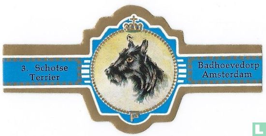 Scottish Terrier - Image 1