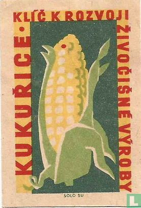 Kukurice klic k rozvoji zivocisne vyroby
