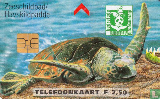 Bedreigde Dierenwereld Zeeschildpad - Afbeelding 1