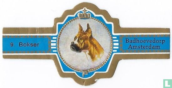 Boxer - Image 1