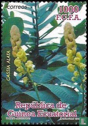 Medicinal plants 