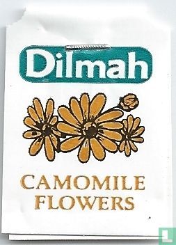 Camomile Flowers  - Image 3
