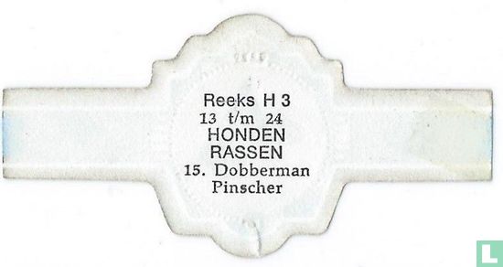 Doberman Pinscher - Image 2
