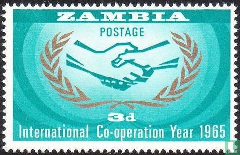  Année de la coopération internationale