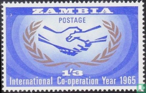  International cooperation year 