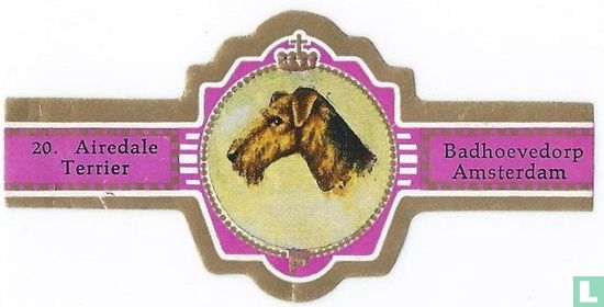 Airedale Terrier - Image 1