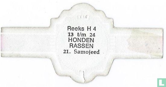 Samoyed - Image 2