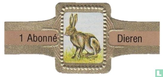 [Hare] - Image 1