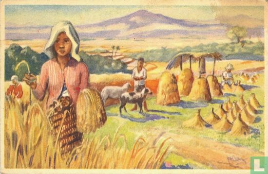 Boerenleven op Nederlands-Indië - Afbeelding 1