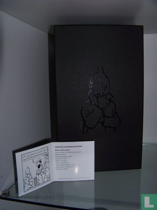 Tintin - Image 2