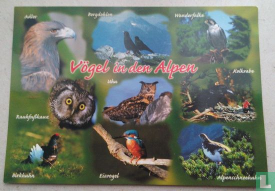 Vogels in de Alpen