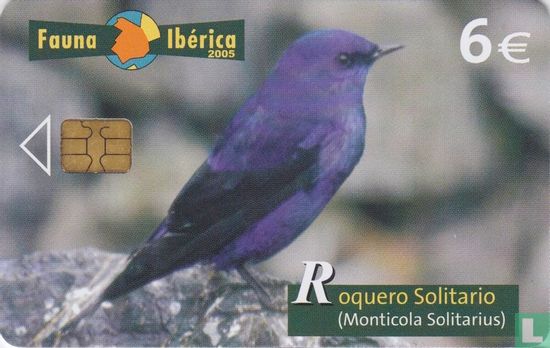 Roquero Solitario [Monticola Solitarius]  - Image 1