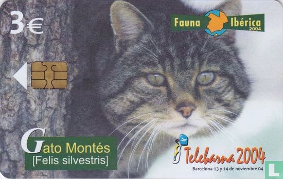 Gato Montés [Felis silvestris] - Afbeelding 1