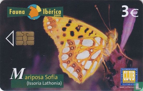 Mariposa Sofía [Issoria Lathonia] - Bild 1