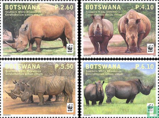 WWF - Rhinoceros 