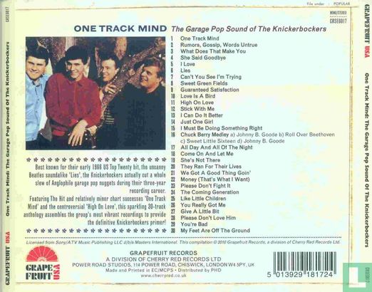 One Track Mind - The Garage Pop Sound of The Knickerbockers - Image 2