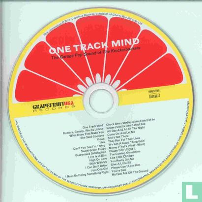 One Track Mind - The Garage Pop Sound of The Knickerbockers - Image 3