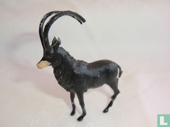 Sabel Antelope - Afbeelding 1