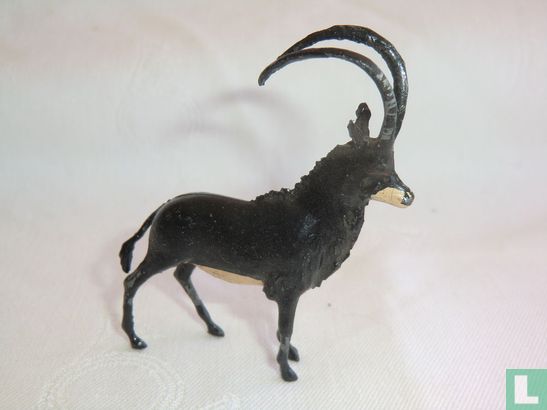 Sabel Antelope - Afbeelding 3