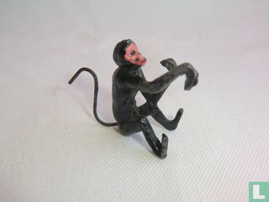 Spider Monkey - Afbeelding 1