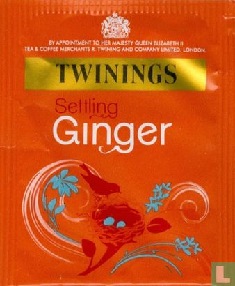 Ginger - Image 1