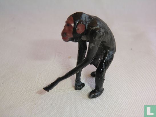Chimpanzee - Afbeelding 3