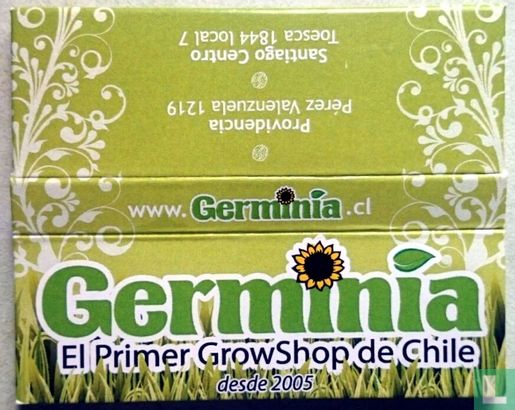 Germinia 1 1/4 size  - Image 1