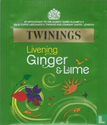 Ginger & Lime - Bild 1