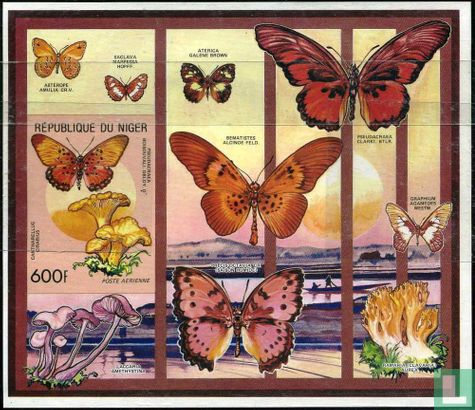 Schmetterlinge und Pilze