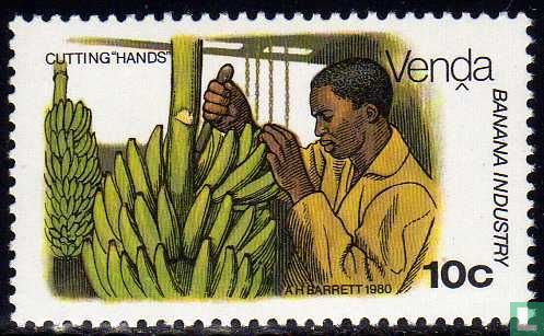 Bananen wachsen