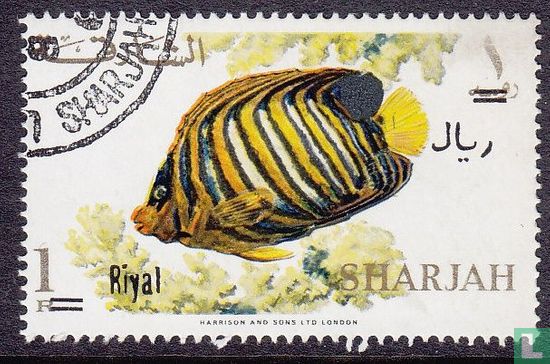 Fish with overprint