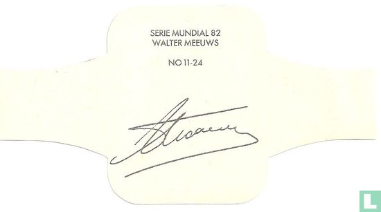 Walter Meeuws - Image 2