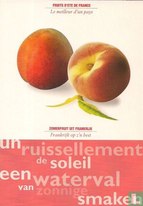 0604 - Fruits D'Été De France / Zomerfruit Uit Frankrijk - Image 1