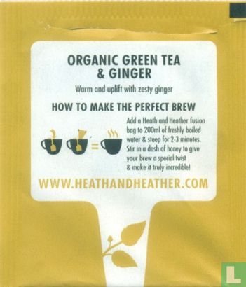 Green Tea & Ginger - Bild 2