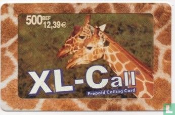 Xl-Call Giraf - Bild 1